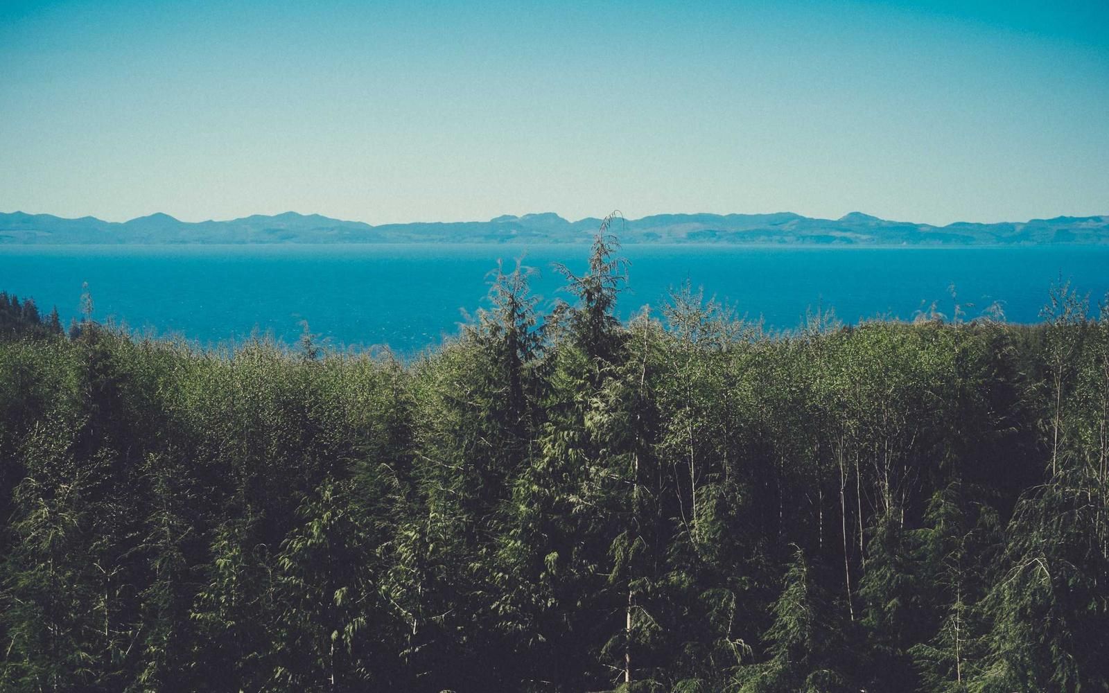 Blick über Wälder und Berge